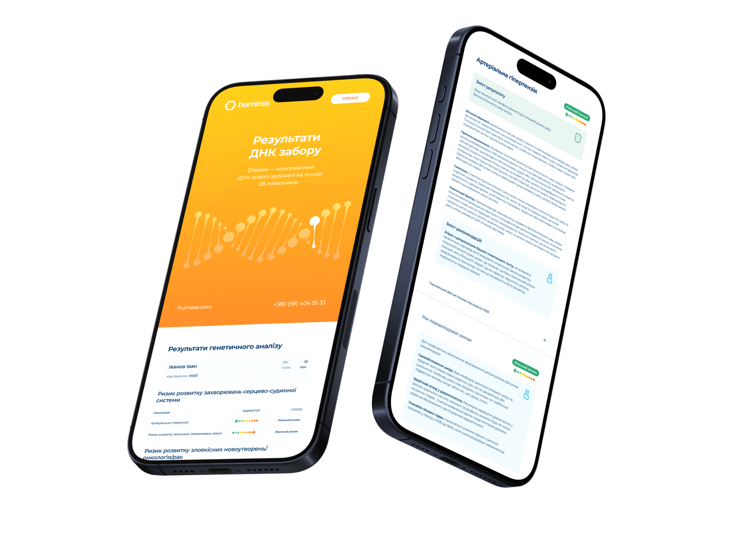 Приклад звіту Disease