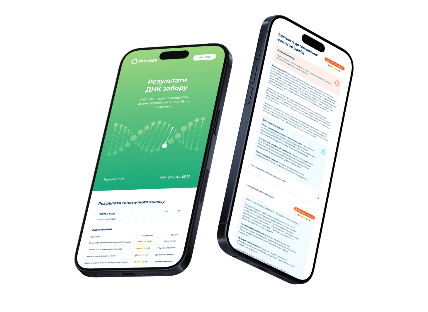 Приклад звіту Wellness